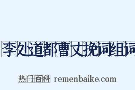 李处道都曹丈挽词组词是什么意思的图片